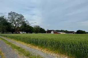 12633 Connelly Rd, Cordova, MD 21625 - Photo 1