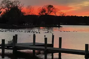 7272 Waverly Island Rd, Easton, MD 21601 - Photo 9