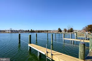 344 Perry Cabin Dr, Saint Michaels, MD 21663 - Photo 49