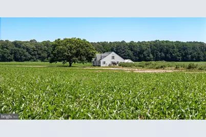 7543 Bozman Neavitt Road, Bozman, MD 21612 - Photo 13