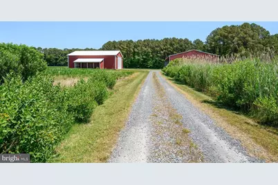 7543 Bozman Neavitt Road, Bozman, MD 21612 - Photo 11