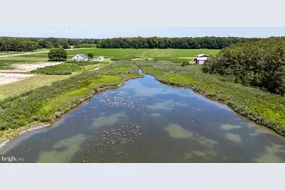 7543 Bozman Neavitt Road, Bozman, MD 21612 - Photo 119