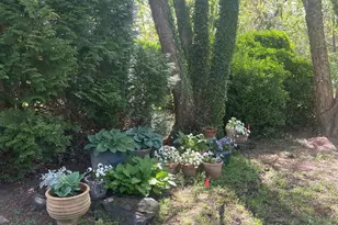 31720 Ayres Dr, Trappe, MD 21673 - Photo 109