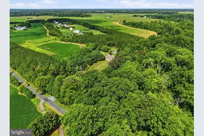 30420 Deep Branch Road, Trappe, MD 21673 - Photo 43