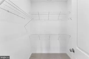 29403 Jobes St, Easton, MD 21601 - Photo 21
