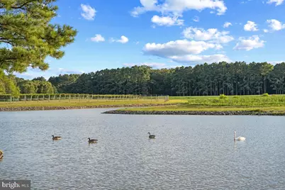 27772 Sharp Road, Easton, MD 21601 - Photo 63