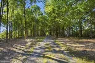 8410 Bozman Neavitt Rd, Bozman, MD 21612 - Photo 25