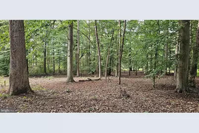 11518 Woodwinds Court, Cordova, MD 21625 - Photo 5