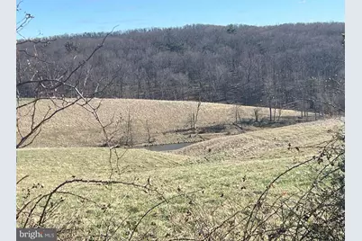 13042 Woodmont Road, Hancock, MD 21750 - Photo 23