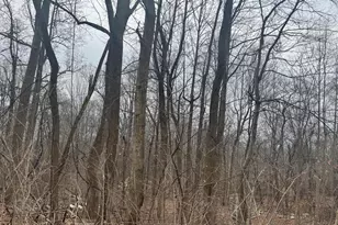 1905 Reed Rd, Knoxville, MD 21758 - Photo 1