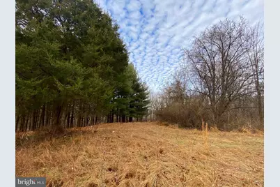 2040 Hoffmaster Road, Knoxville, MD 21758 - Photo 9