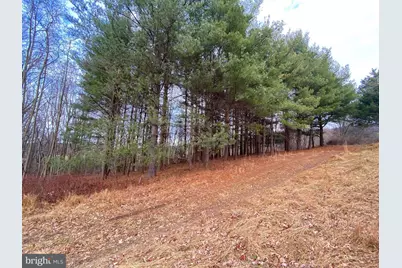 2040 Hoffmaster Road, Knoxville, MD 21758 - Photo 3