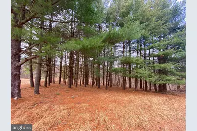 2040 Hoffmaster Road, Knoxville, MD 21758 - Photo 13