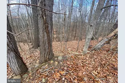 2052 Hoffmaster Road, Knoxville, MD 21758 - Photo 13