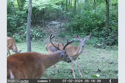 11430 National Pike, Clear Spring, MD 21722 - Photo 7