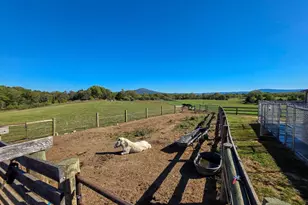 14637 Bain Rd, Hancock, MD 21750 - Photo 55