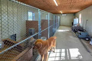 14637 Bain Rd, Hancock, MD 21750 - Photo 57