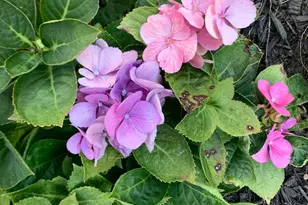 121 Colton Ct, Smithsburg, MD 21783 - Photo 103