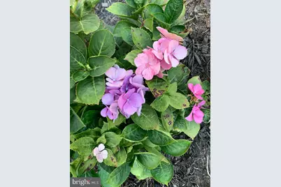 121 Colton Court, Smithsburg, MD 21783 - Photo 103