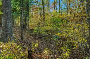 8907 Crystal Falls Dr, Boonsboro, MD 21713 - Photo 31