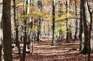 5103 Red Hill Rd, Keedysville, MD 21756 - Photo 59