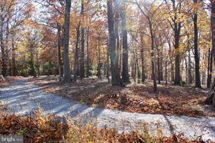 5103 Red Hill Rd, Keedysville, MD 21756 - Photo 11