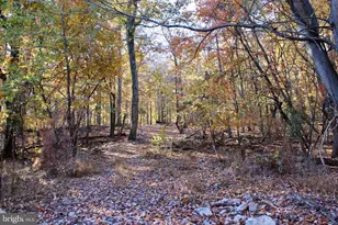 5103 Red Hill Rd, Keedysville, MD 21756 - Photo 57