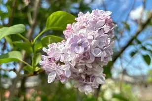 21918 Jefferson Blvd, Smithsburg, MD 21783 - Photo 25