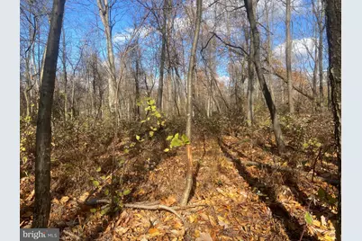 4.44+/- Acres Crystal Falls Drive, Hagerstown, MD 21740 - Photo 33