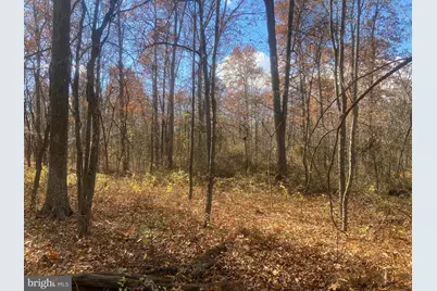 4.44+/- Acres Crystal Falls Drive, Hagerstown, MD 21740 - Photo 35