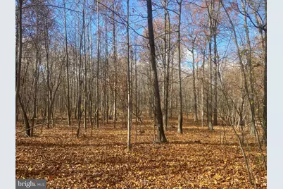 4.44+/- Acres Crystal Falls Drive, Hagerstown, MD 21740 - Photo 27