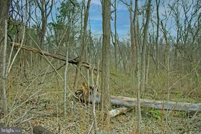 8103 Avis Mill Road, Williamsport, MD 21795 - Photo 31