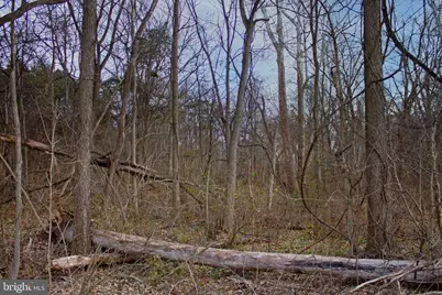 8103 Avis Mill Road, Williamsport, MD 21795 - Photo 33