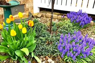 608 Trafalgar Dr, Hagerstown, MD 21742 - Photo 37