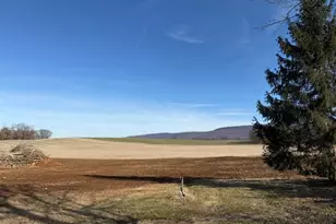 8619 Mapleville Rd, Boonsboro, MD 21713 - Photo 3