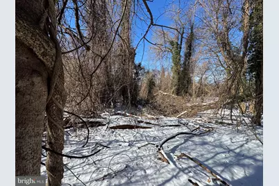 Tract 2: 0.42+/- Acres Oak Ave, Cascade, MD 21719 - Photo 3