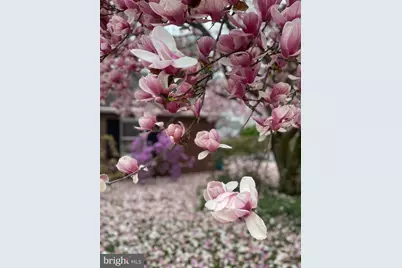 19541 Lorraine Terrace, Hagerstown, MD 21742 - Photo 67