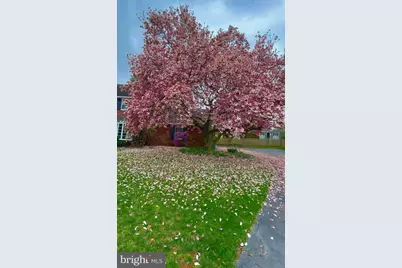 19541 Lorraine Terrace, Hagerstown, MD 21742 - Photo 61