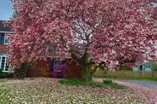 19541 Lorraine Terrace, Hagerstown, MD 21742 - Photo 61