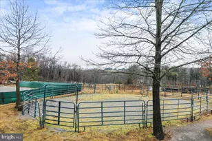 14507 Heavenly Acres Ridge, Hancock, MD 21750 - Photo 63