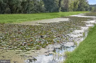 212 Terrace St, Hancock, MD 21750 - Photo 41