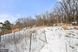 212 Terrace St, Hancock, MD 21750 - Photo 31