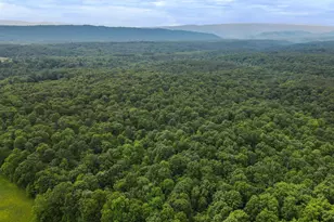 Porter's Ln, Hancock, MD 21750 - Photo 1