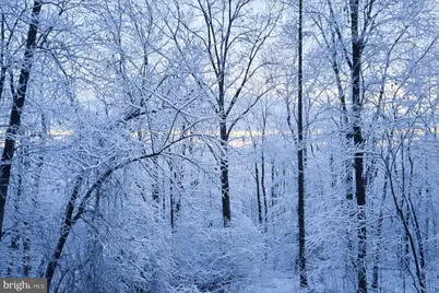 2800 Kaetzel Road, Knoxville, MD 21758 - Photo 13