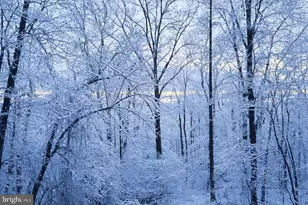 2800 Kaetzel Rd, Knoxville, MD 21758 - Photo 13