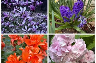 2800 Kaetzel Rd, Knoxville, MD 21758 - Photo 15