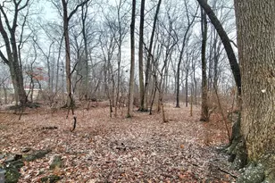 8403 Country Home Ln, Boonsboro, MD 21713 - Photo 1