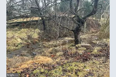 2303 Chestnut Grove Road, Sharpsburg, MD 21782 - Photo 7