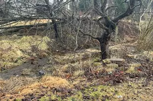 2303 Chestnut Grove Rd, Sharpsburg, MD 21782 - Photo 7