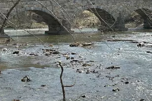 3819 Harpers Ferry Rd, Sharpsburg, MD 21782 - Photo 21